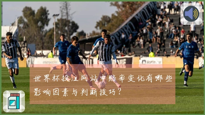 世界杯投注网站中赔率变化有哪些影响因素与判断技巧？