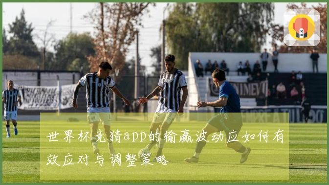 世界杯竞猜app的输赢波动应如何有效应对与调整策略