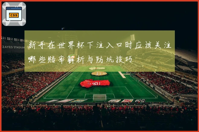 新手在世界杯下注入口时应该关注哪些赔率解析与防坑技巧