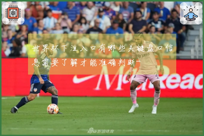 世界杯下注入口有哪些关键盘口信息需要了解才能准确判断-
