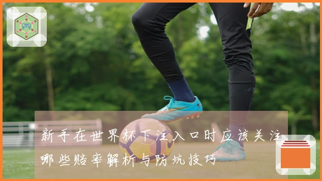 新手在世界杯下注入口时应该关注哪些赔率解析与防坑技巧